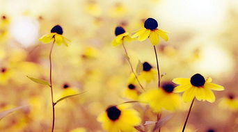 珍惜時(shí)間的句子正能量