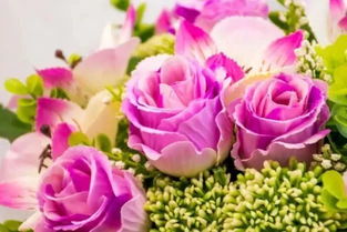 關(guān)于堅(jiān)持的正能量句子,正能量滿滿的勵(lì)志句子,雨天幽默正能量的句子