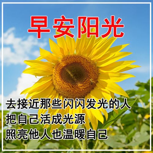 早上問(wèn)好句子祝福正能量
