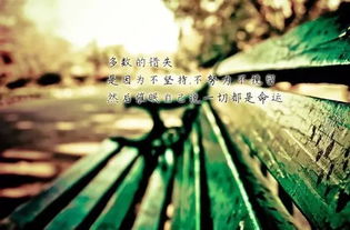 句子,生活上,中學(xué)生,能量