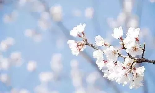 經(jīng)商正能量的句子