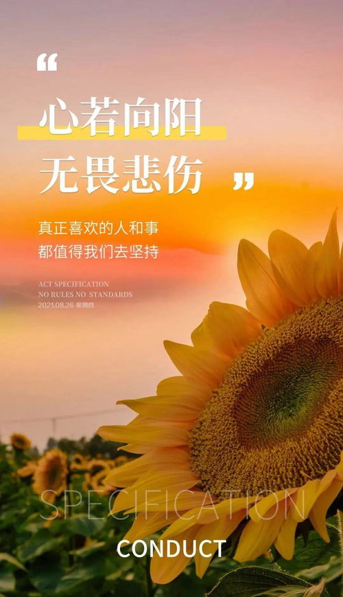 早安,句子,語錄,能量