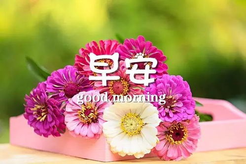 一個(gè)人正能量的句子說說心情短語,等待失望的句子說說心情短語,感謝正能量的句子說說心情短語