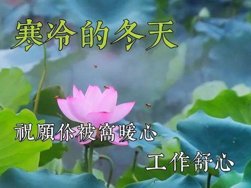 問好,句子,能量,早上