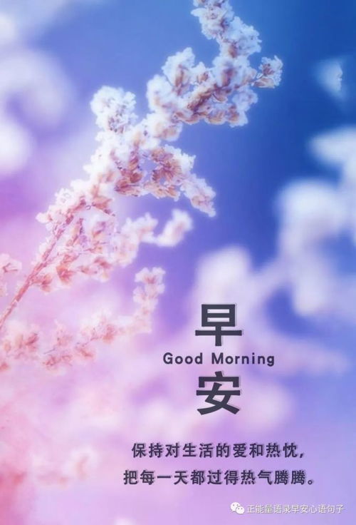 早安激勵(lì)上進(jìn)正能量句子簡(jiǎn)短,激勵(lì)上進(jìn)正能量句子早安語,早安激勵(lì)正能量的句子