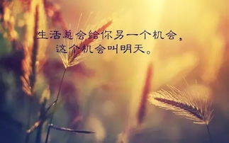 感悟人生的句子經(jīng)典正能量短句,感悟人生的句子經(jīng)典正能量短句300字,感悟人生的句子經(jīng)典正能量短句精辟