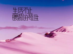 簡短,句子,能量,銷售