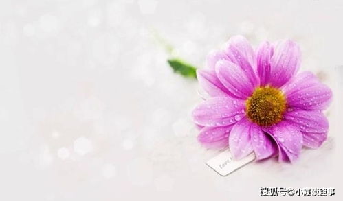 成人禮正能量的句子