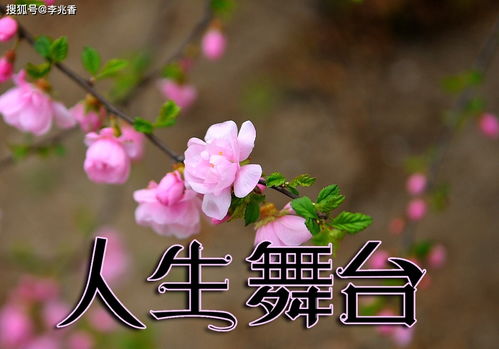 正能量的句子舞臺(tái)