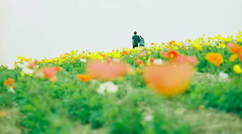 人生正能量句子說(shuō)說(shuō)心情短語(yǔ)