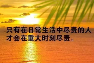 陽光心態(tài)正能量的句子,早安正能量句子和,清晨勵志正能量的句子和