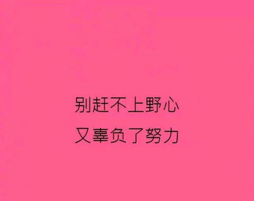 長(zhǎng)句,熱愛(ài)生活,句子,能量
