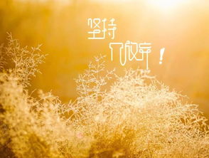 帶陽光的句子正能量