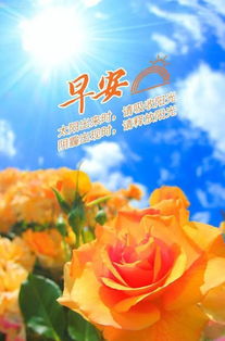 句子,能量,早上,有哪些