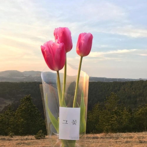 早上發(fā)圈正能量句子護(hù)膚品