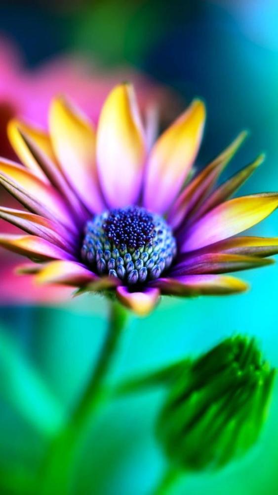 朋友圈點(diǎn)贊率最高的正能量句子