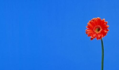 句子,熱血,能量,青春