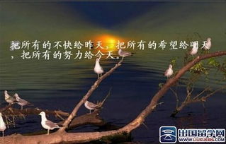 傳遞愛心正能量的句子,傳遞快樂正能量的句子,傳遞大愛正能量的句子