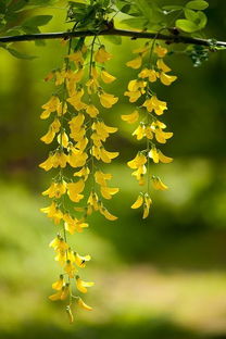 結(jié)伴同行唯美的句子,姐妹結(jié)伴同行的句子,好友結(jié)伴同行的句子