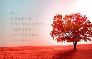 開心正能量的句子說說心情,夫妻正能量句子說說心情,心情好正能量的句子說說心情