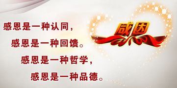 正能量感恩遇見的句子,懂得感恩老板的正能量句子,感恩勵志正能量的句子