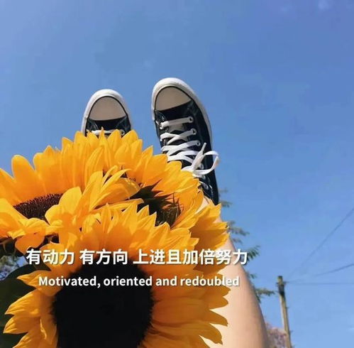 優(yōu)設(shè)網(wǎng)文案正能量的句子