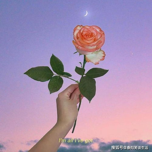 積極陽(yáng)光正能量早安的句子