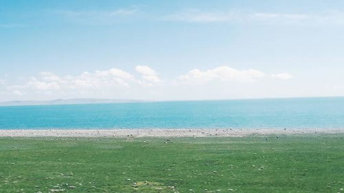 關(guān)于追逐夢(mèng)想的正能量句子