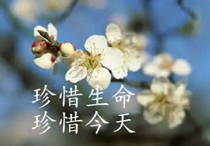 句子,勵志,能量,夫妻