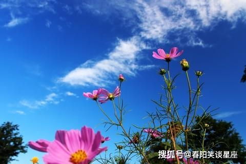 句子,能量,美好