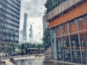 下雨天的正能量句子適合發(fā)朋友圈,下雨天配正能量的句子,下雨天發(fā)正能量的句子