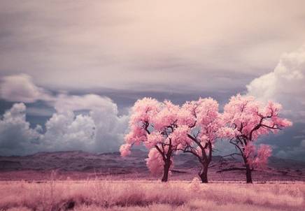 心向陽光正能量的句子工作勵(lì)志