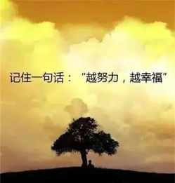 正能量的短片句子