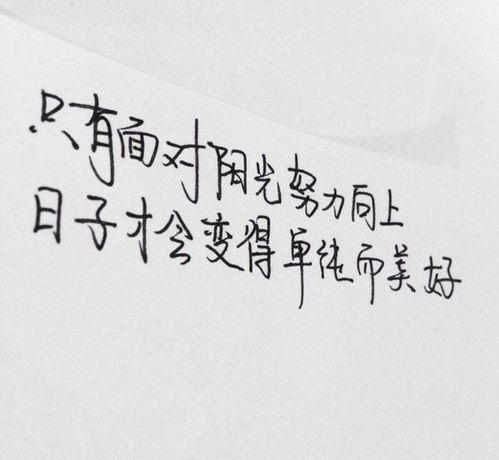 2021正能量奮斗的英語句子