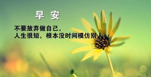 正能量的句子經(jīng)典語(yǔ)段200字