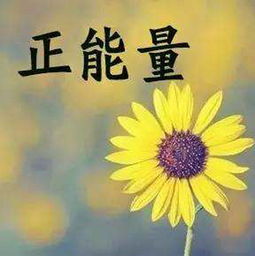 關于少年夢想的句子,少年夢想的勵志句子,形容少年夢想的句子