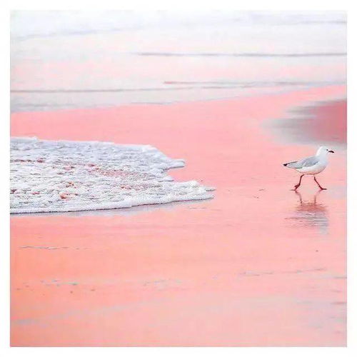 感情心態(tài)正能量的句子長(zhǎng)句,心態(tài)陽(yáng)光正能量句子,上班心態(tài)正能量句子