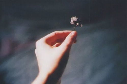 早上抖音句子正能量語(yǔ)錄