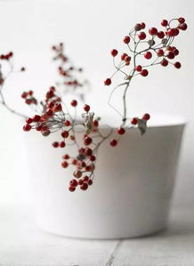 積極向上正能量的感情句子