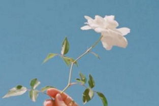 適合小學(xué)生正能量句子短