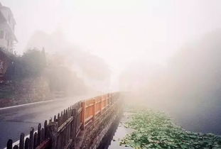 正能量的句子經(jīng)典長句英語