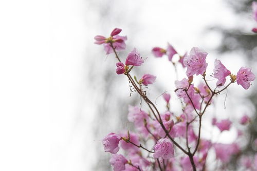 上進(jìn),句子,激勵(lì),能量