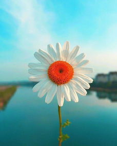 寫一些正能量的句子