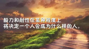 句子,語(yǔ)句,能量,冬季