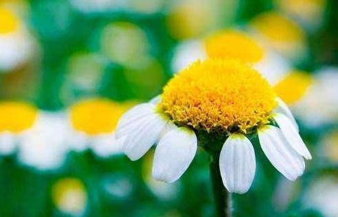 抖音熱門文案愛情正能量,發(fā)抖音文案愛情正能量,抖音文案大全正能量愛情