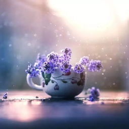 發(fā)朋友圈的精美句子正能量暖心