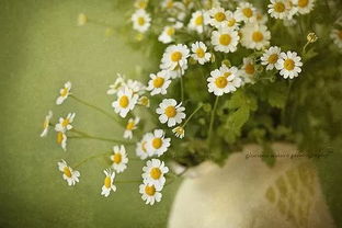 朋友圈勵(lì)志正能量心情說(shuō)說(shuō)句子大全唯美大全