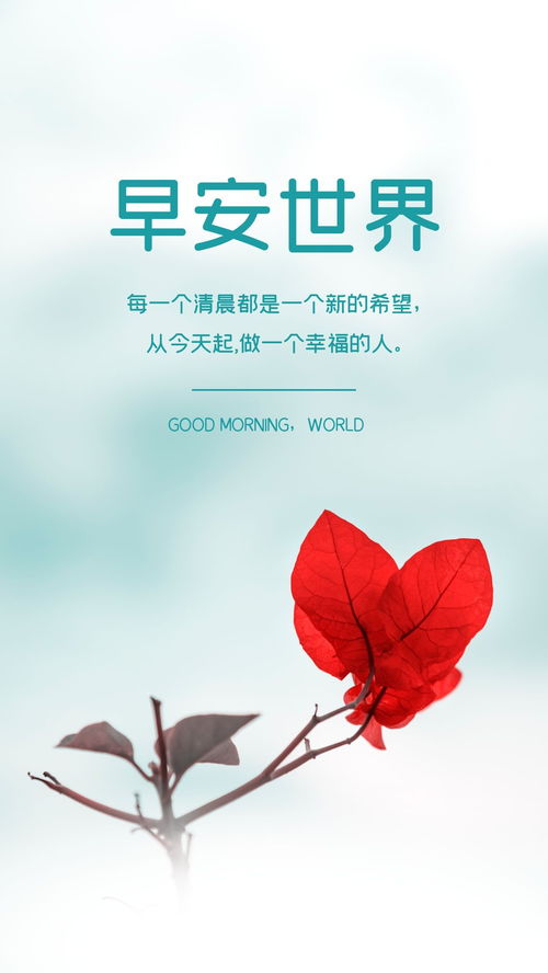 句子,能量,陽光