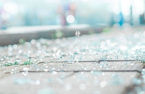 句子,能量,寧靜,日子