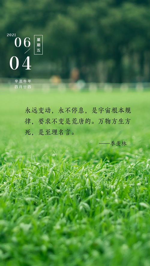 早上陽(yáng)光的句子正能量,早上充滿正能量陽(yáng)光的句子,迎著陽(yáng)光的正能量句子